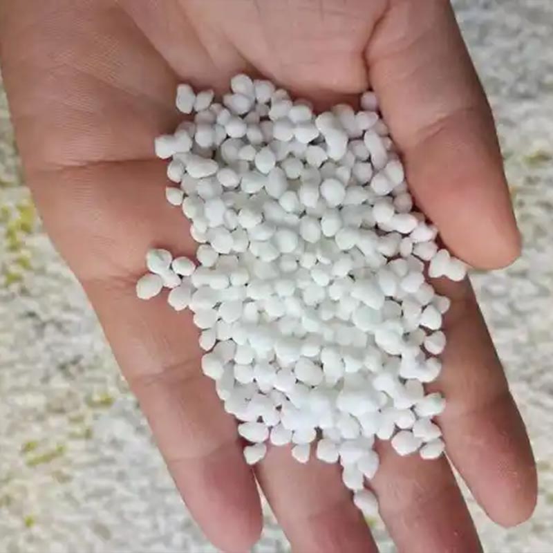 Để trang điểm cơ bản và trên cùng